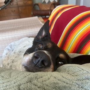 Meet your Posher, Lindsay